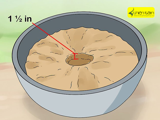 cách trồng củ sen trong chậu tròn